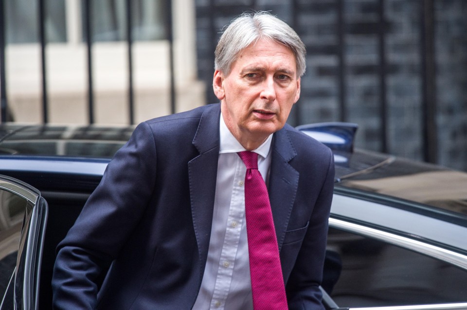 During the conference call Philip Hammond told company bosses ‘it would be extremely helpful to hear business voices welcoming the deal’