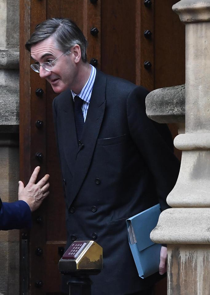  Jacob Rees-Mogg is leading the challenge to the PM