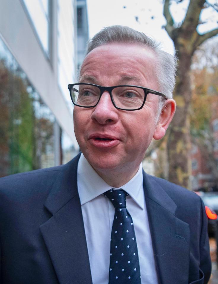  Mr Gove didn’t want to be blamed for bringing down the PM after knifing Boris Johnson two years ago