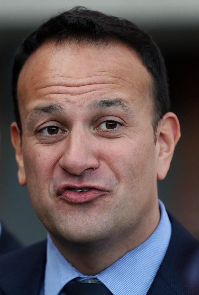 Irish PM says that MPs will back the deal when it 'sinks in'