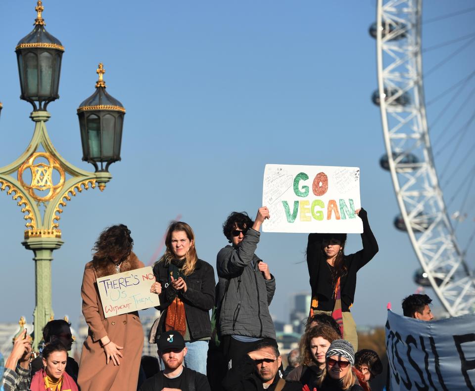  Hundreds of activists urged Theresa May to tackle global warming while they staged a sit-in along the River Thames