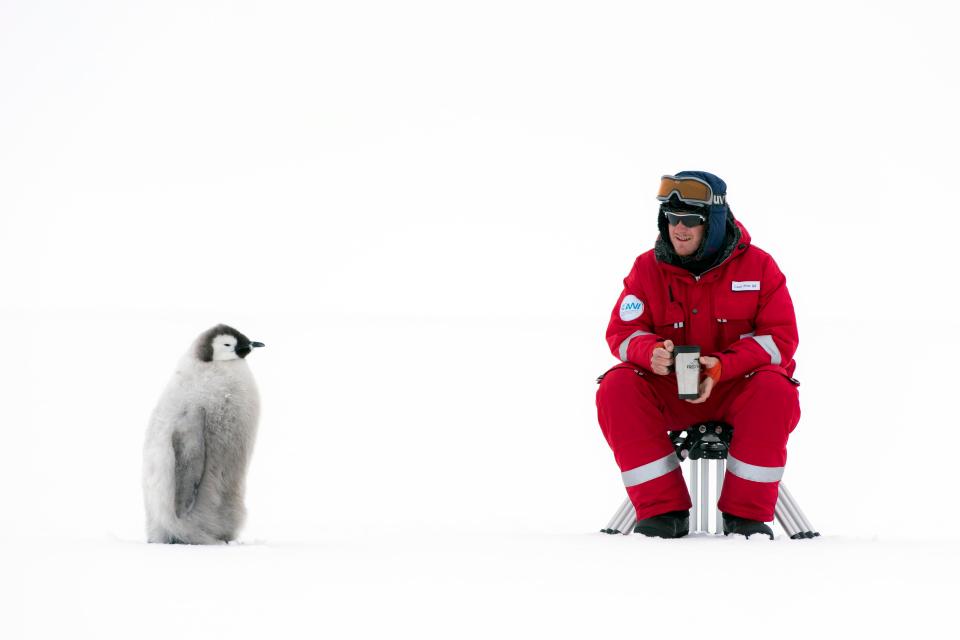  More heartbreak came after a baby penguin was left by its mother to die