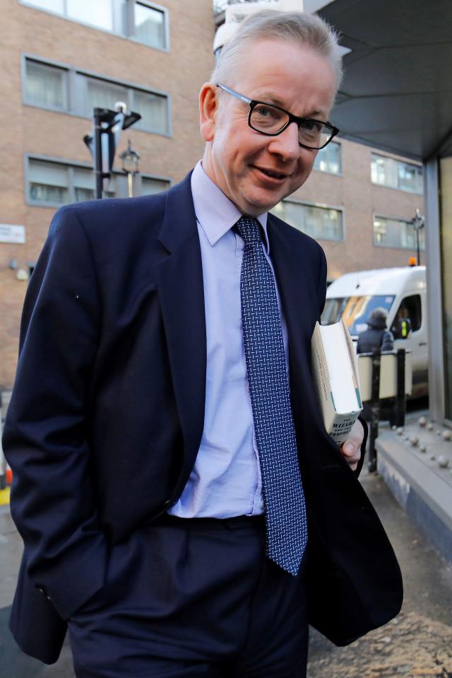  Michael Gove said of the PM's top table: 'It’s a European Cup tie - a home fixture and then an away fixture'