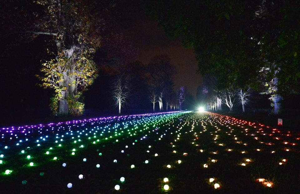  A field of lights illuminates the trail at Kew Gardens this holiday season