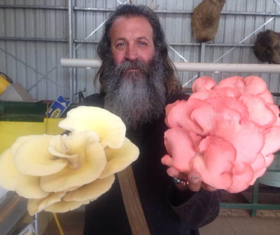  The hard-working farmer grows limes and exotic mushrooms