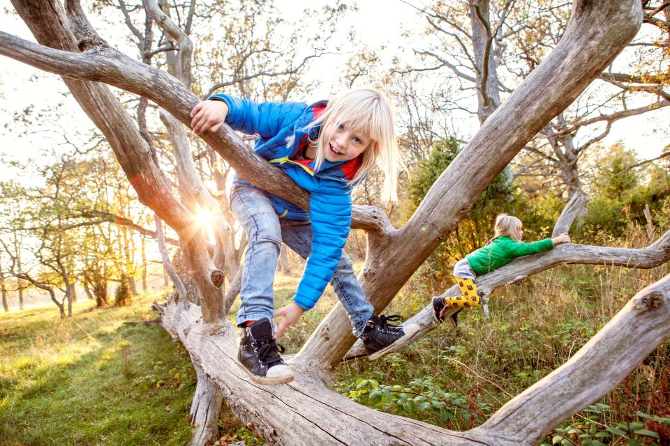  Kids should tick off a bucketlist of outdoor activities rather than just focus on academics, the education secretary has said