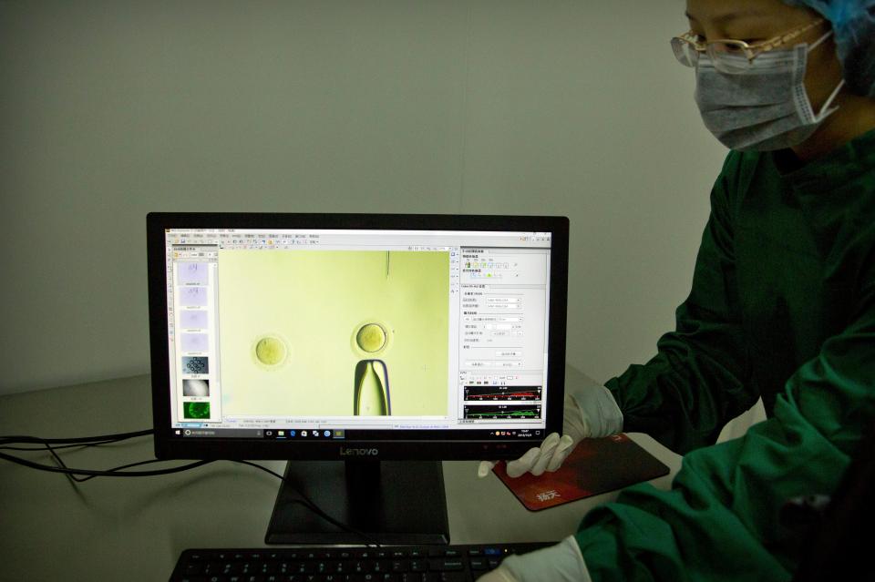  A monitor showing a video feed of Chinese scientists editing an embryo using DNA proteins