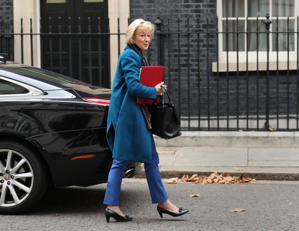  Andrea Leadsom arriving for this morning's Cabinet meeting