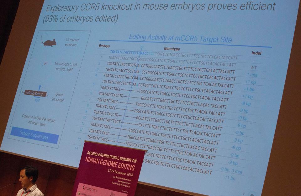  Jiankui showed off slides detailing his work at the Hong Kong summit, but there are still major doubts about whether the experiment was successful, or actually even took place