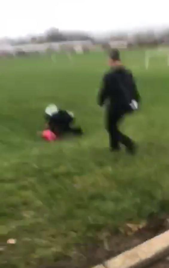  The young girl is pushed onto a grass slope in the clip