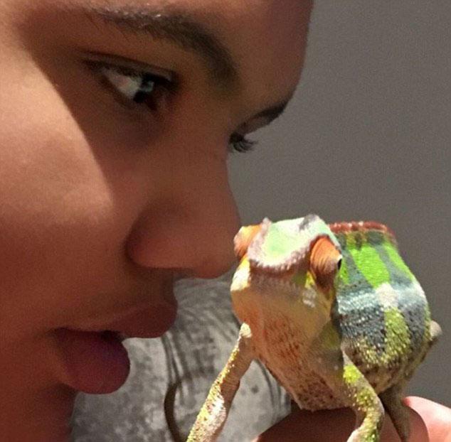  Harvey with Marvin, Junior's chameleon