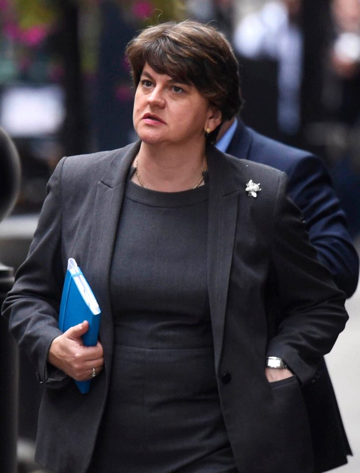  Arlene Foster, 46, is Assembly Member for Fermanagh and South Tyrone and the leader of the Democratic Unionist Party