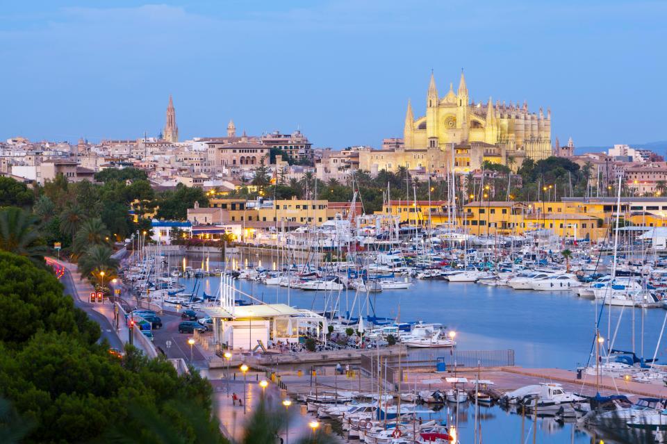  Make sure that you check out Palma's harbour if you visit