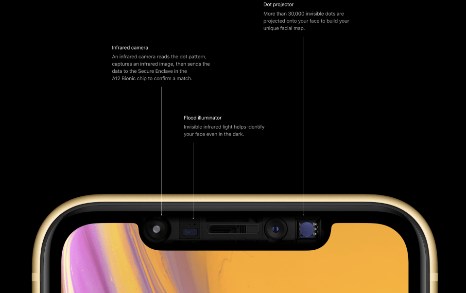  Face ID sensors are built into the notch at the top of the screen