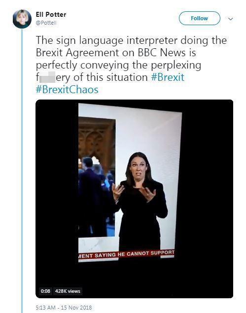  Ell Potter said the sign language interpreter is 'perfectly conveying the perplexing f****ry' of Brexit