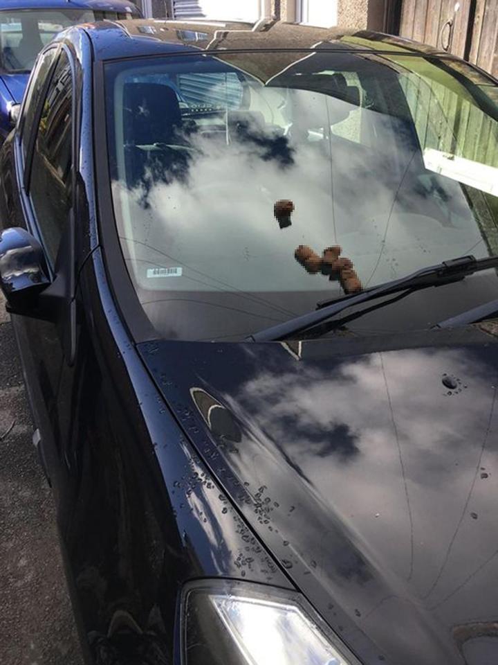  Some people have suggested that Rachel put a camera in her car to avoid a turd incident