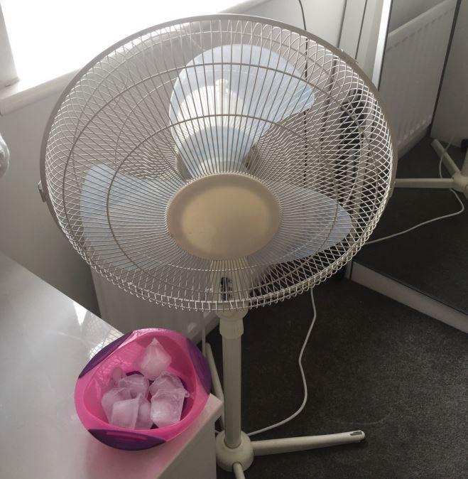  Mark says putting ice cubes in front of a fan is the perfect cash-saving alternative to air con