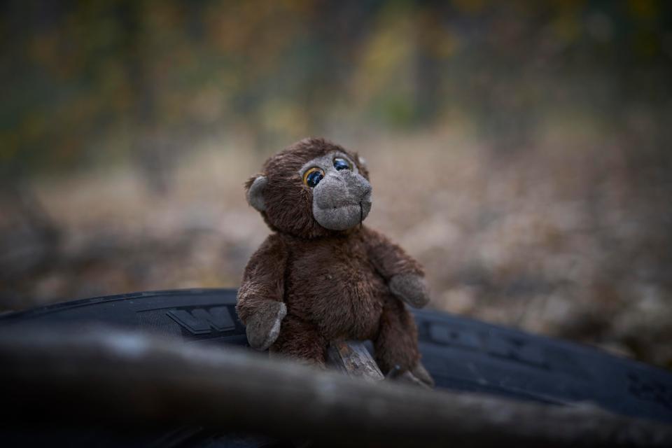  Claudia leaves little gifts for the creatures in the woods such as this toy monkey, which is often moved when she returns