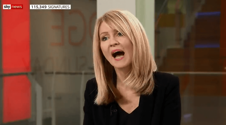  Esther McVey said she could run to be PM and Tory leader if others asked her to