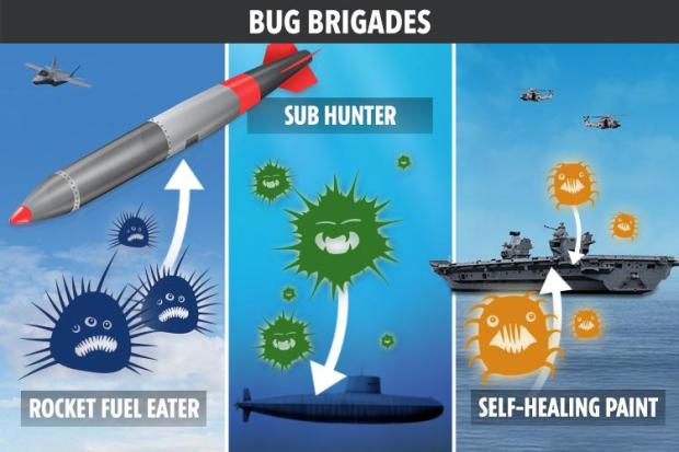 The bugs are being manipulated for military use