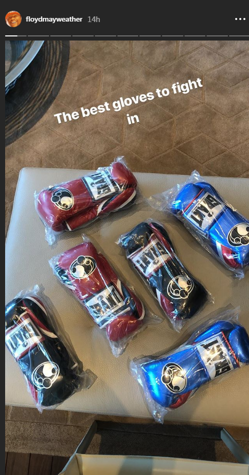 The Grant gloves Mayweather boxed in