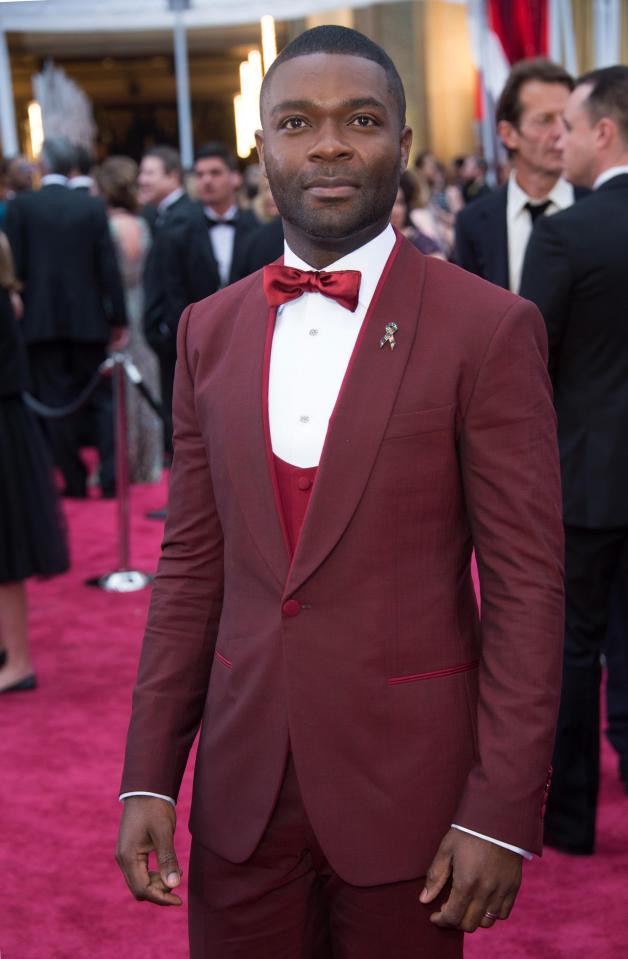  David Oyelowo is a TV and film actor