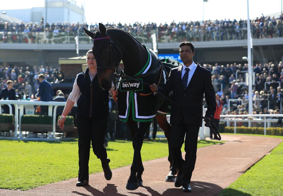 How would the great Sprinter Sacre match up against Altior?