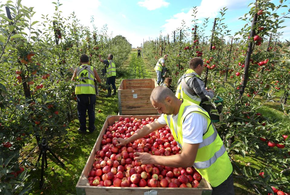  Migrants will have to earn £30,000 before they can work in the UK after Brexit