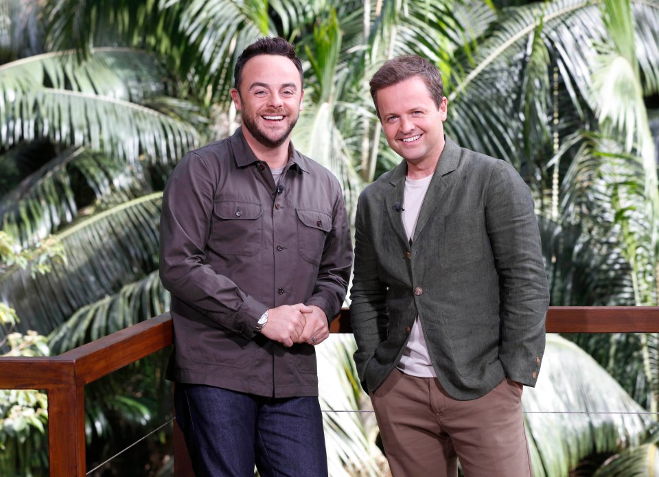 Ant McPartlin is taking a year off to get well after alcohol and painkiller addiction