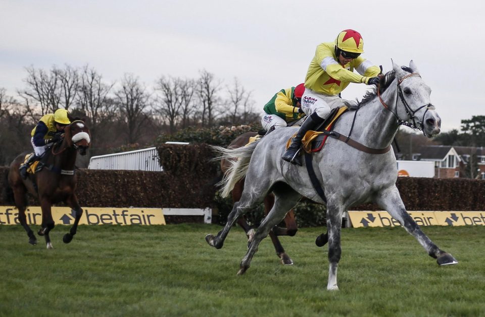  Charbel (left) is likely take in a race at Kempton next month