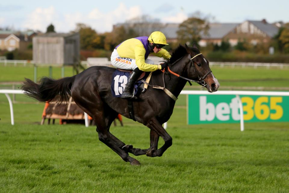  Kalashnikov looks to extend his unbeaten record over fences at Plumpton