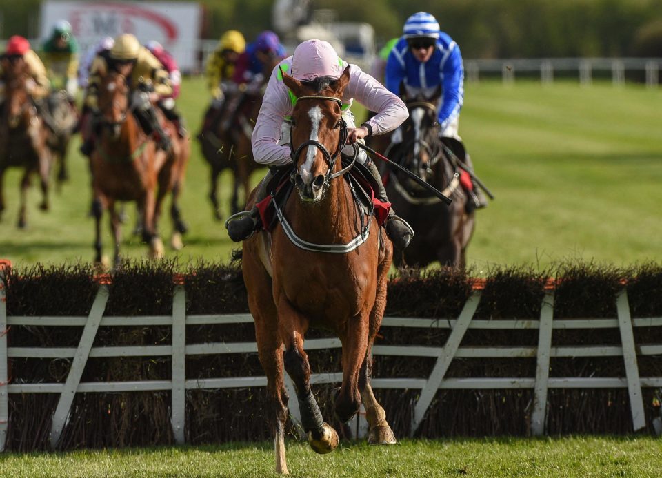  Faugheen will revert to three miles for the first time since bolting up in the Champion Stayers at Punchestown