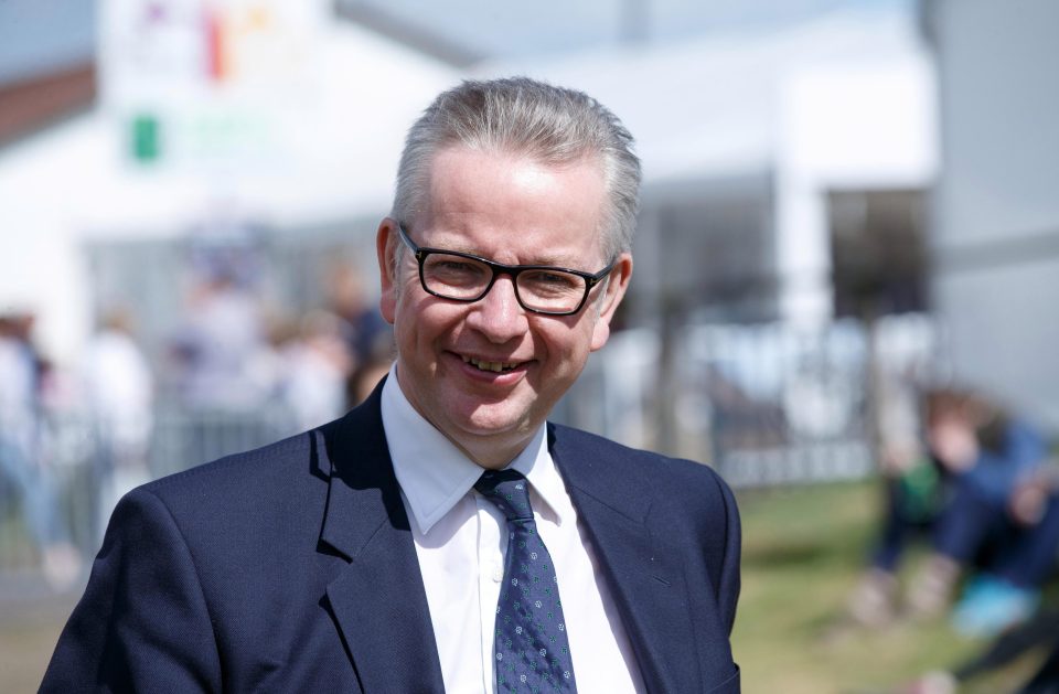 Michael Gove