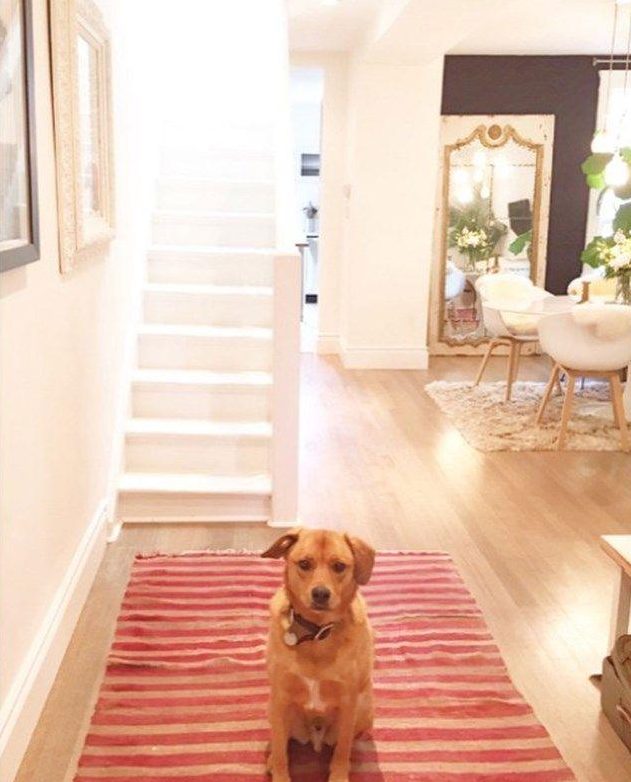 The home had a pink striped rug in the hallway, and her pooches were clearly a fan