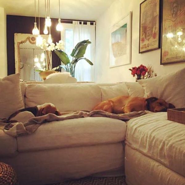 Proving that she was never too precious about her home, the Duchess always let her beloved dogs up on the couch