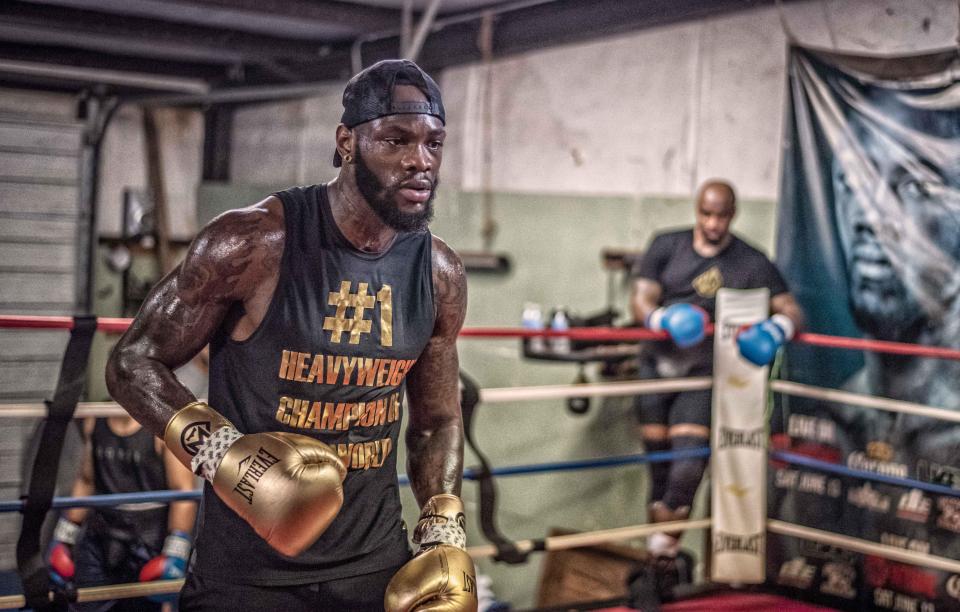  Wilder could look to rematch Fury