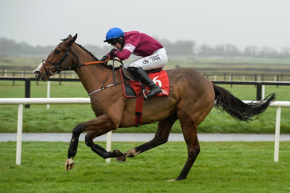  Mengli Khan is the favourite for the Racing Post Novice Chase