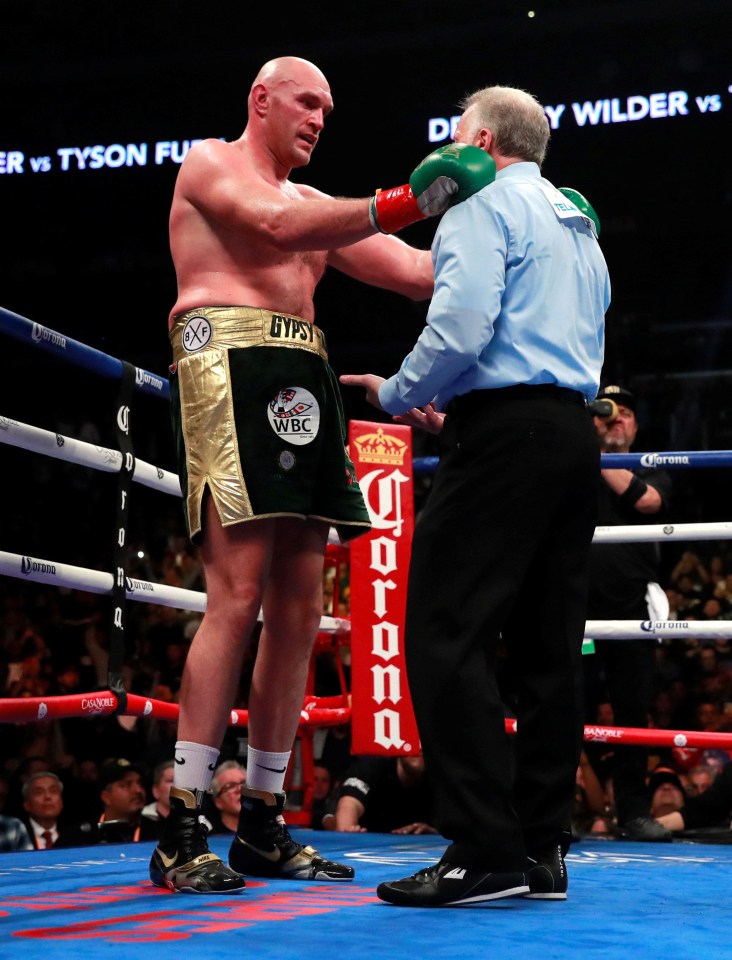 Tyson Fury was not seriously hurt and showed the referee he could continue