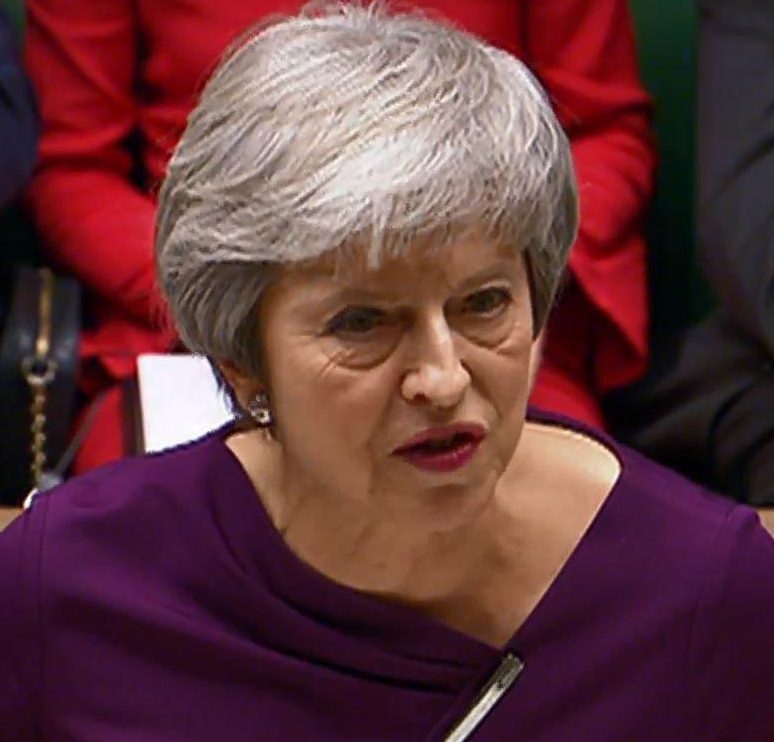  Theresa May told MPs the UK was free to strike trade deals after Brexit