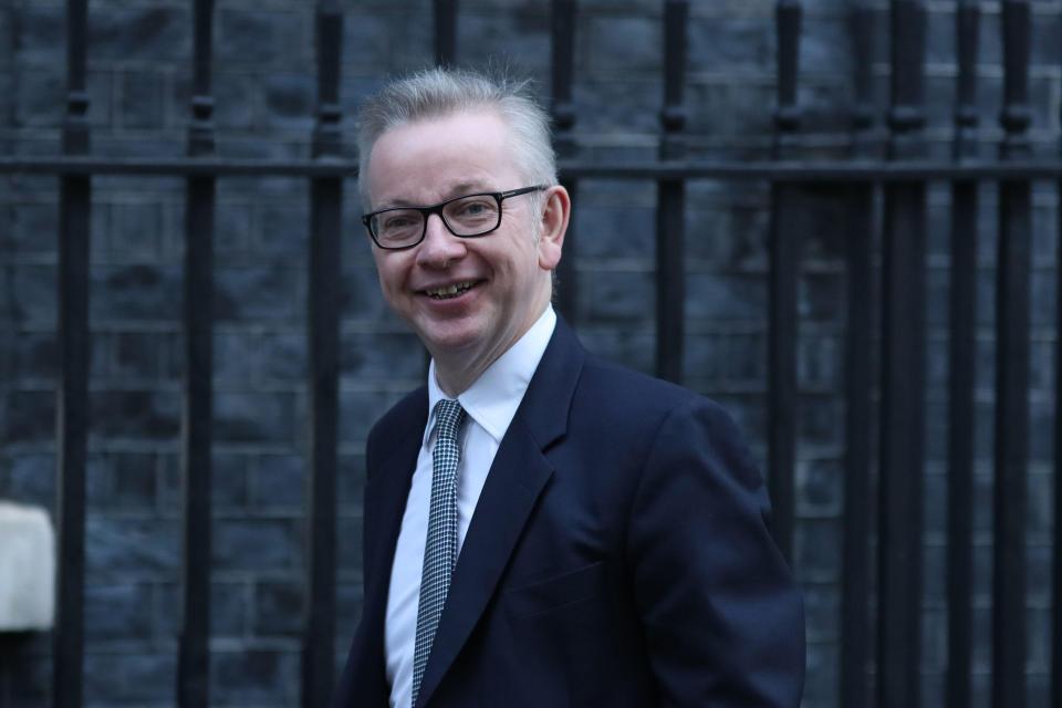  Brexiteer Michael Gove slammed Cabinet members for not doing enough to prepare for No Deal