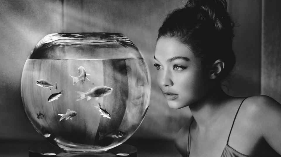  A close up shows the 23-year-old gazing into a fish bowl, light streaming on to her face