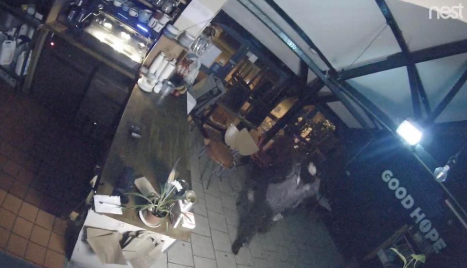 The Cafe of Good Hope CCTV shows a man robbing the charity for the second time in four days