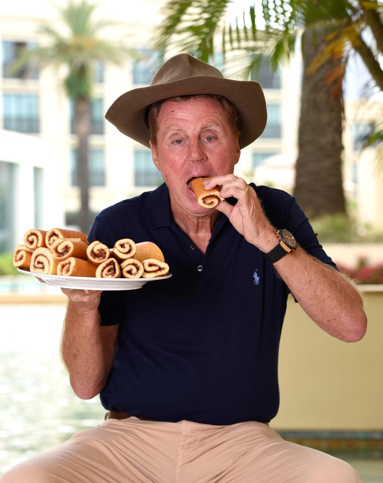  Harry tucks into a plate full of his favourite pud, jam roly poly