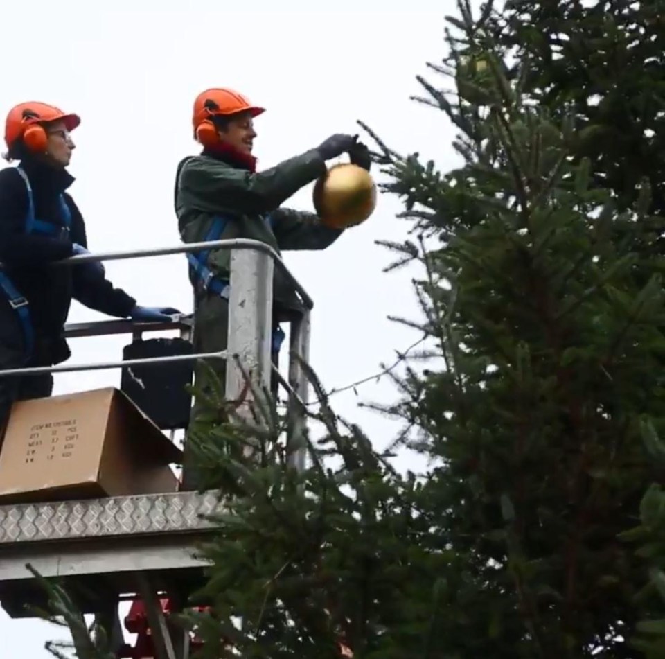 Decorating the 30ft tree with big baubles and light was not an easy task and needed a cherry picker