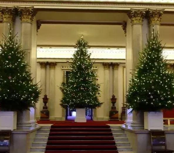 There are three large Christmas trees in Buckingham Palace’s Marble Hall