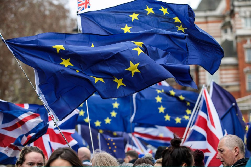  Pro-EU campaigners outside Westminster today want another referendum