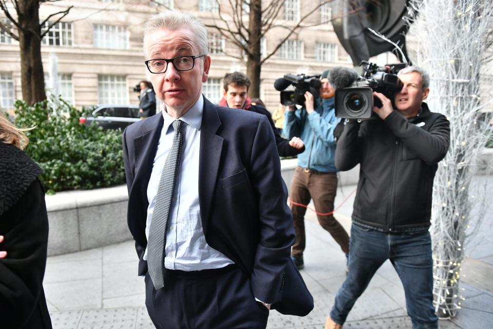  Environment Secretary Michael Gove has backed the Brexit deal