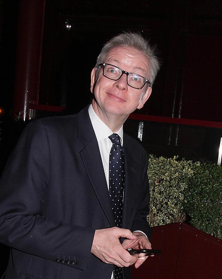  Michael Gove in London last night