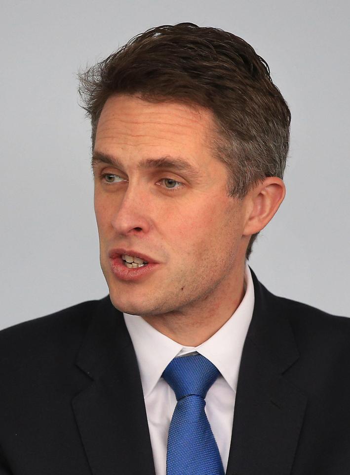  Defence Secretary Gavin Williamson claimed earlier this week the UK had to be prepared to fight wars with AI and in space