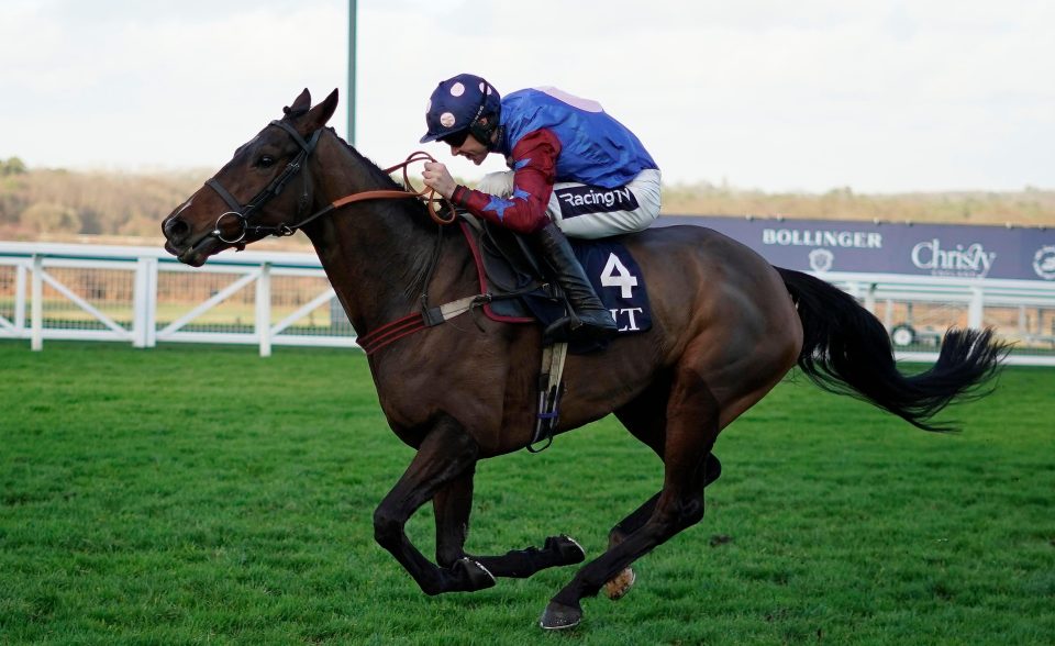  Paisley Park was a popular winner at Ascot